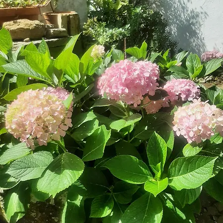 Villa Casa Do Sobral