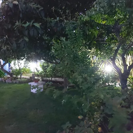 Casa Do Sobral
