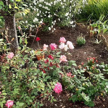 Casa Do Sobral Obidos