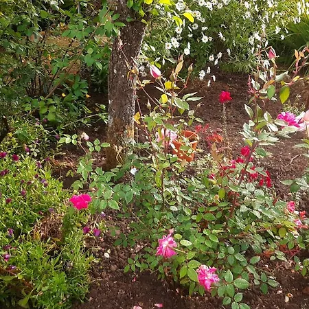 Casa Do Sobral Villa