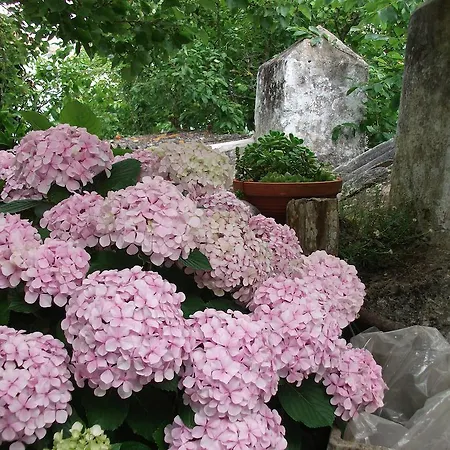 Villa Casa Do Sobral Obidos