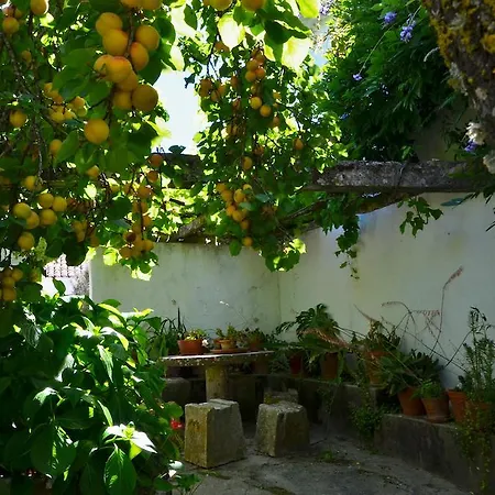 Villa Casa Do Sobral *