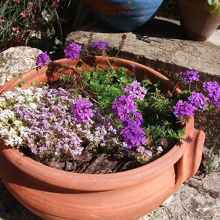 Villa Casa Do Sobral Obidos
