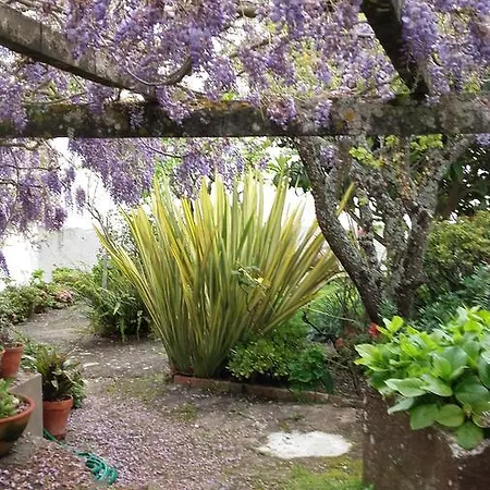 Casa Do Sobral * Obidos