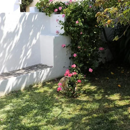 Villa Casa Do Sobral *