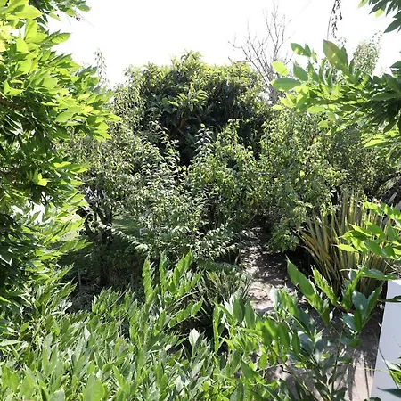 Casa Do Sobral Villa *