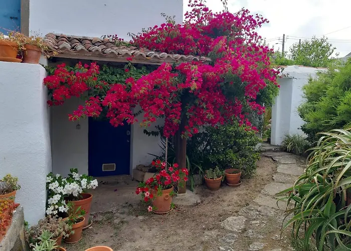 Casa Do Sobral ヴィラ オビドス