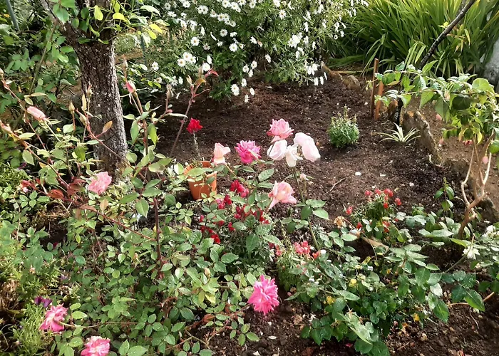 Casa Do Sobral オビドス