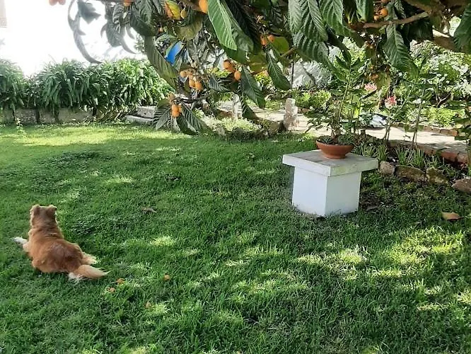 ヴィラ Casa Do Sobral *