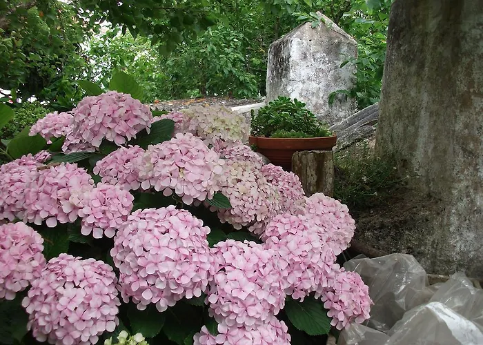 ヴィラ Casa Do Sobral オビドス