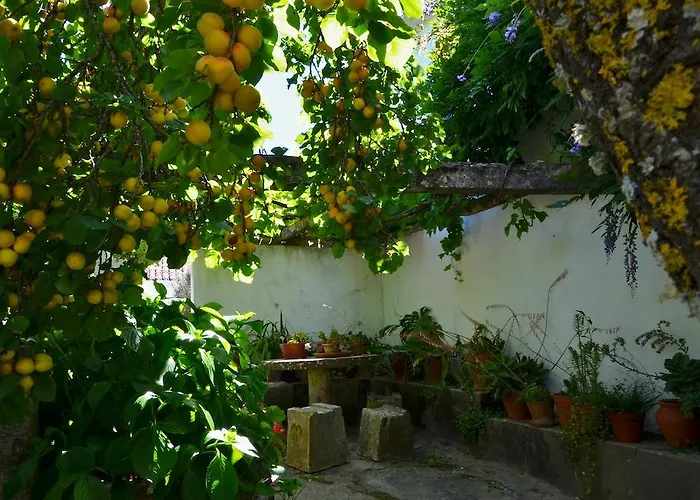 ヴィラ Casa Do Sobral *