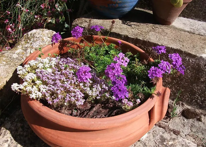 ヴィラ Casa Do Sobral オビドス