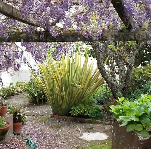 Casa Do Sobral * オビドス