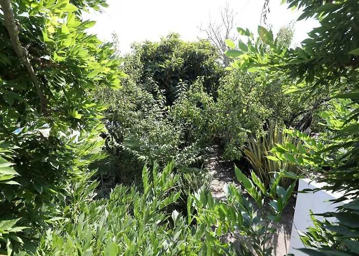 Casa Do Sobral ヴィラ *